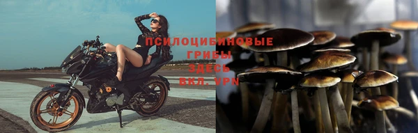 хмурый Алексеевка